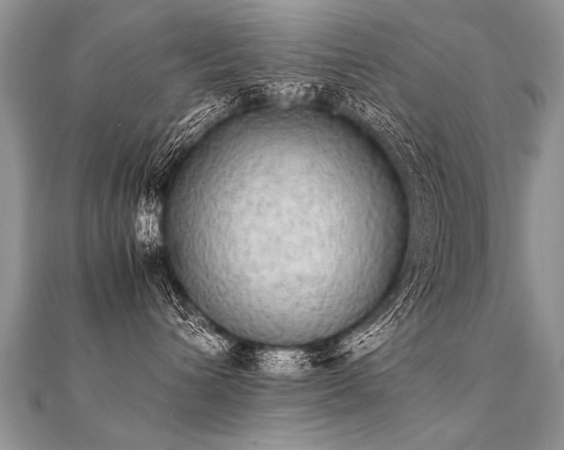 X0000112040432200908101405