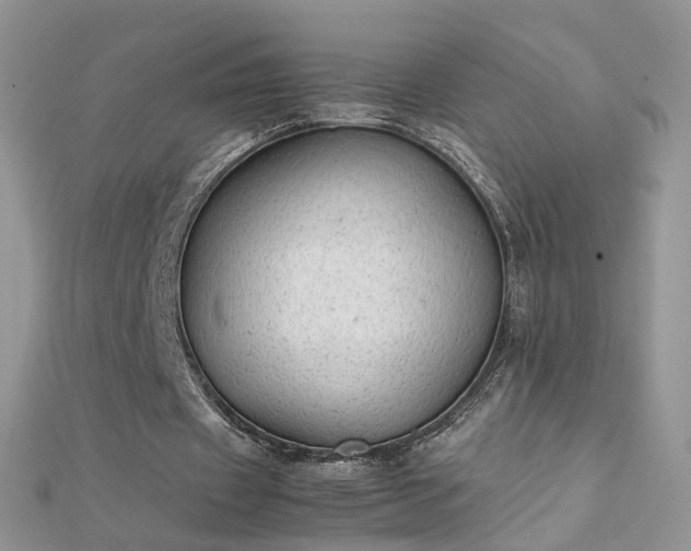 X0000112040433200908101405