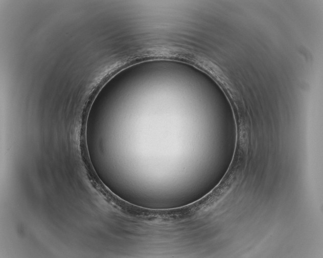 X0000112040434200908101405