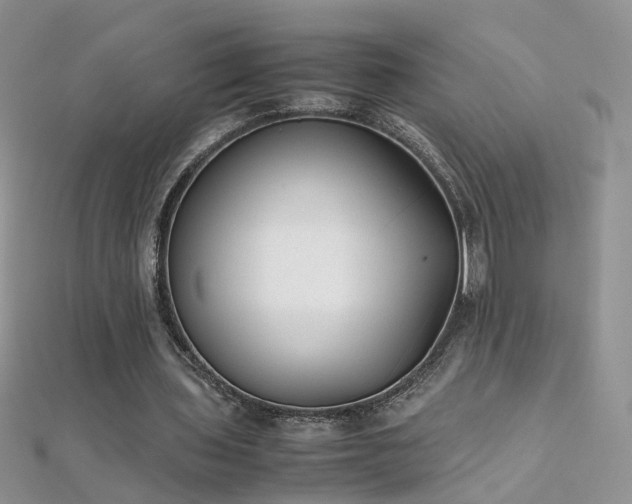 X0000112040435200908101405