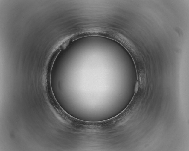 X0000112040436200908101405