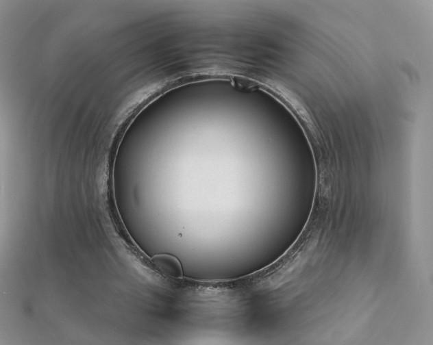 X0000112040437200908101405