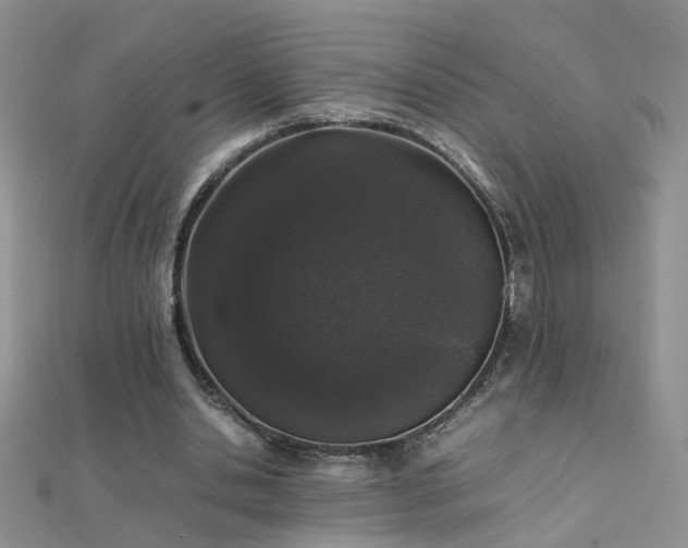 X0000112040438200908101405