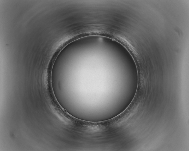 X0000112040439200908101405