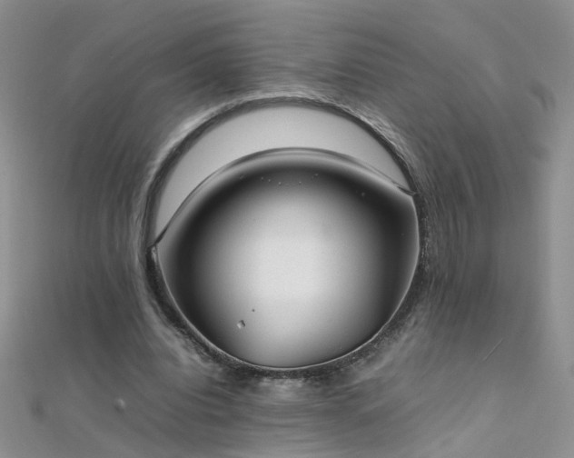 X0000112040440200908101405