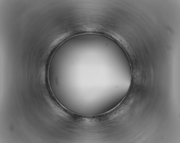 X0000112040442200908101405