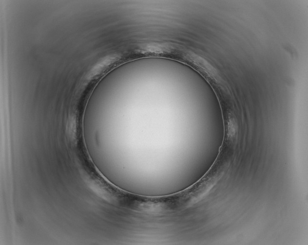 X0000112040444200908101405