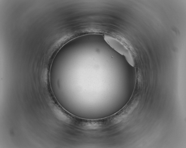 X0000112040445200908101405