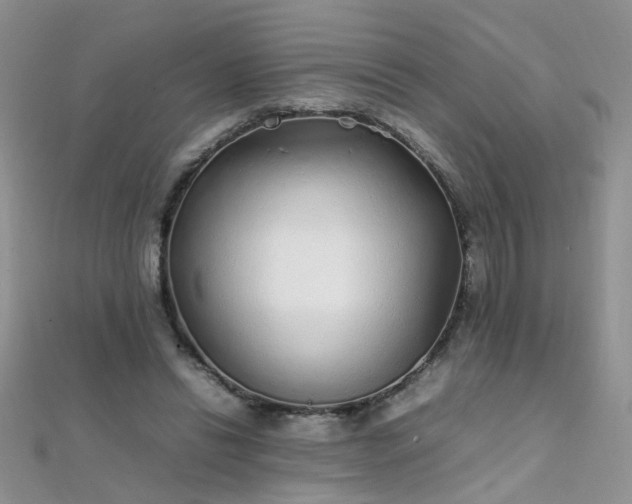 X0000112040446200908101405