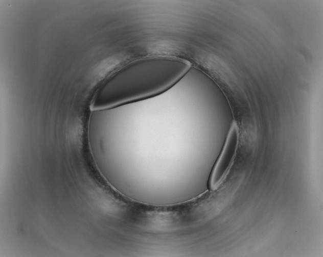 X0000112040448200908101405