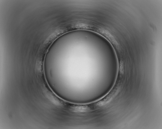 X0000112040449200908101405