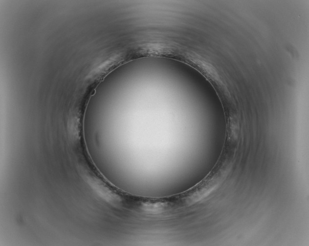 X0000112040450200908101405
