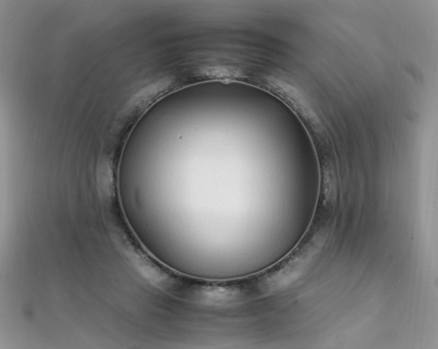 X0000112040453200908101405