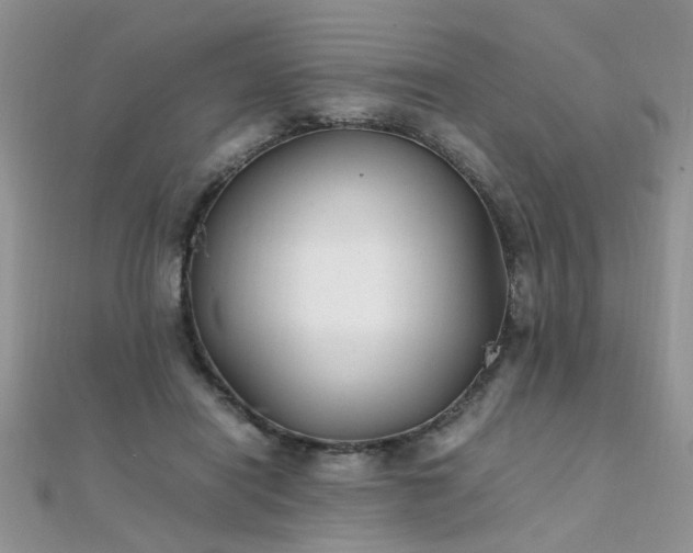 X0000112040454200908101405