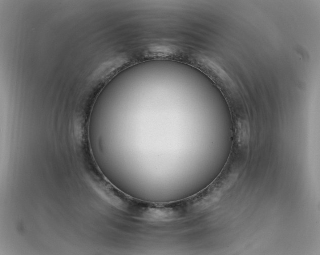X0000112040455200908101405