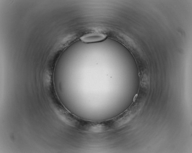 X0000112040456200908101405