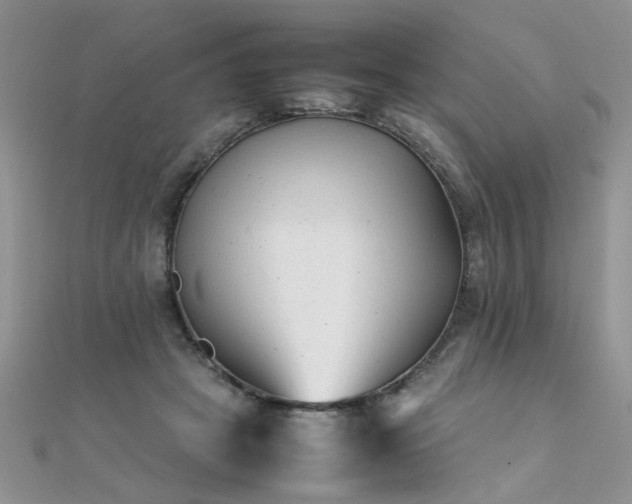 X0000112040457200908101405