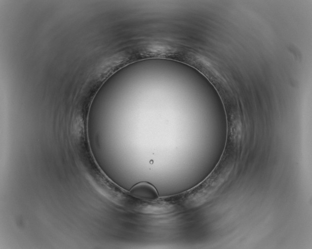 X0000112040459200908101405