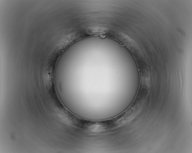 X0000112040460200908101405