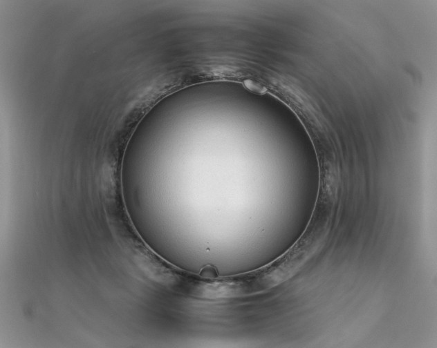 X0000112040461200908101405