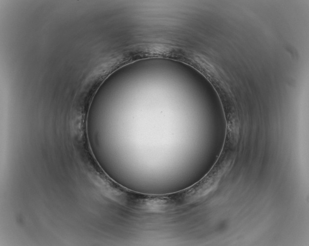 X0000112040462200908101405