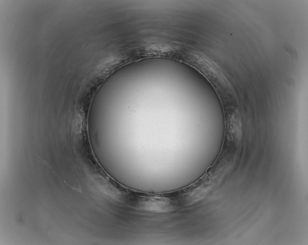 X0000112040463200908101405