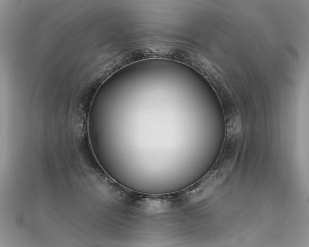 X0000112040464200908101405