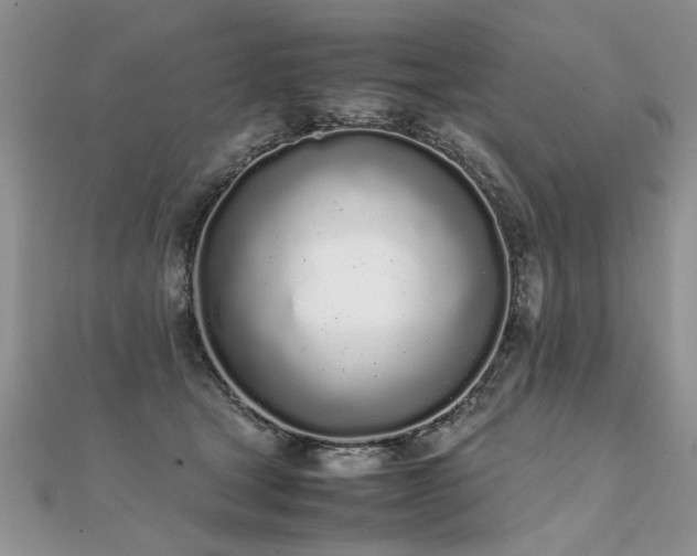 X0000112040465200908101405