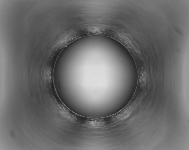 X0000112040466200908101405