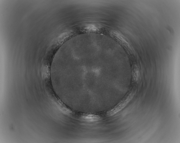 X0000112040467200908101405
