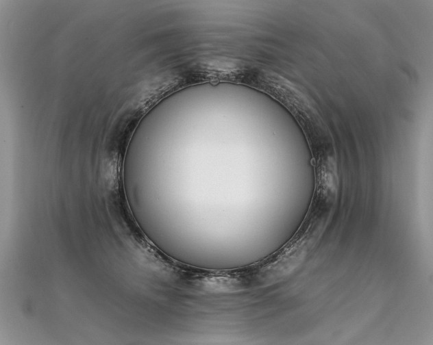 X0000112040468200908101405