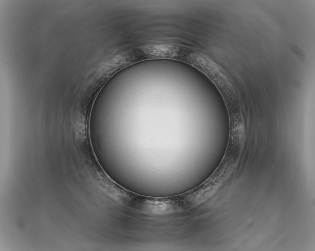 X0000112040469200908101405