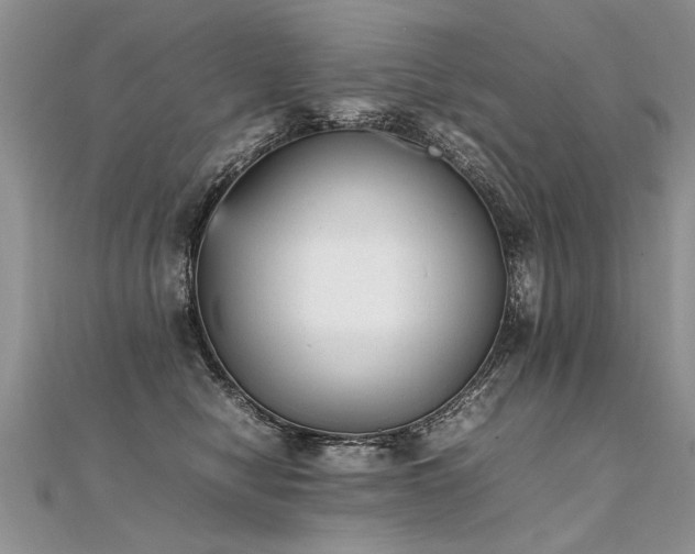 X0000112040470200908101405