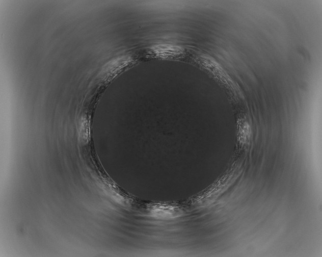 X0000112040471200908101405