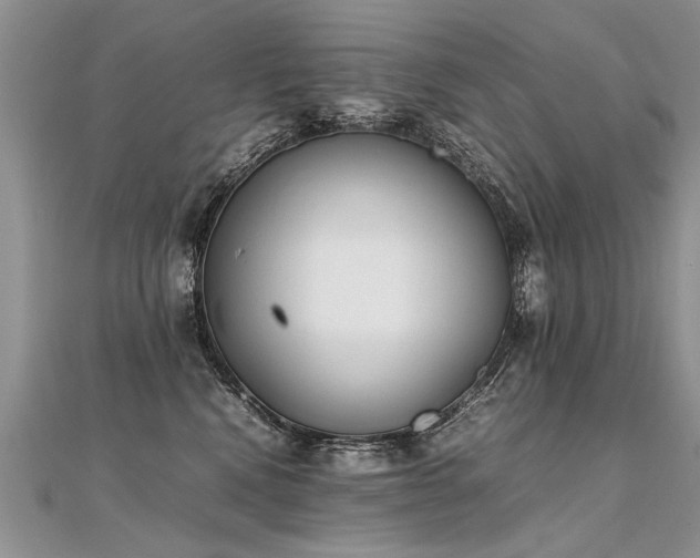 X0000112040472200908101405