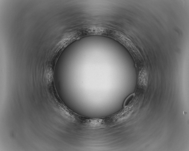 X0000112040474200908101405