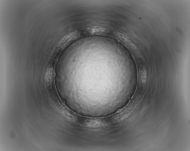 X0000112040475200908101405