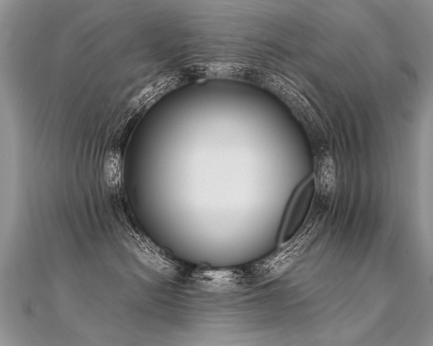 X0000112040478200908101405
