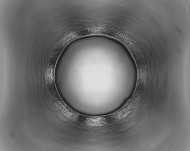 X0000112040479200908101405