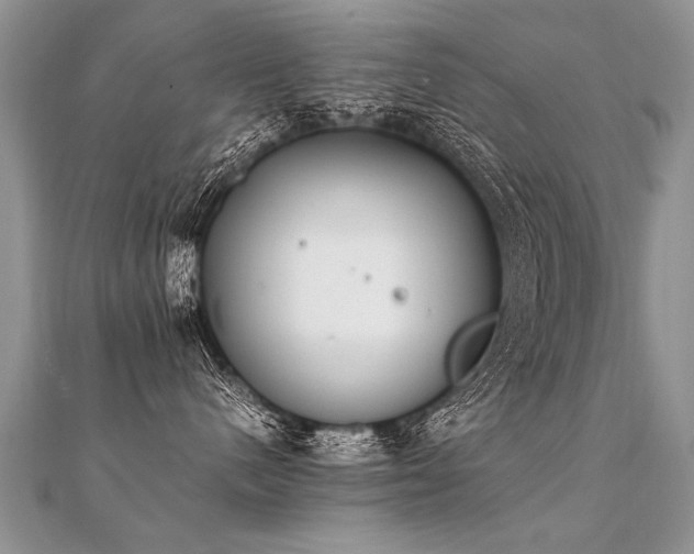 X0000112040480200908101405