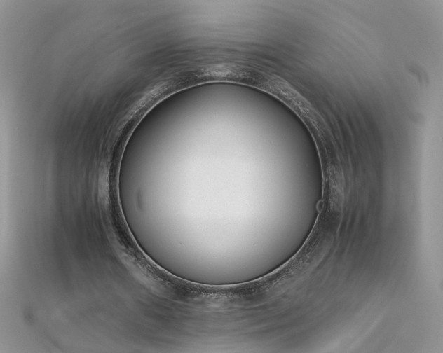 X0000112040482200908101405