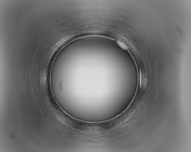 X0000112040483200908101405