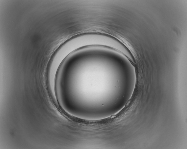 X0000112040485200908101405