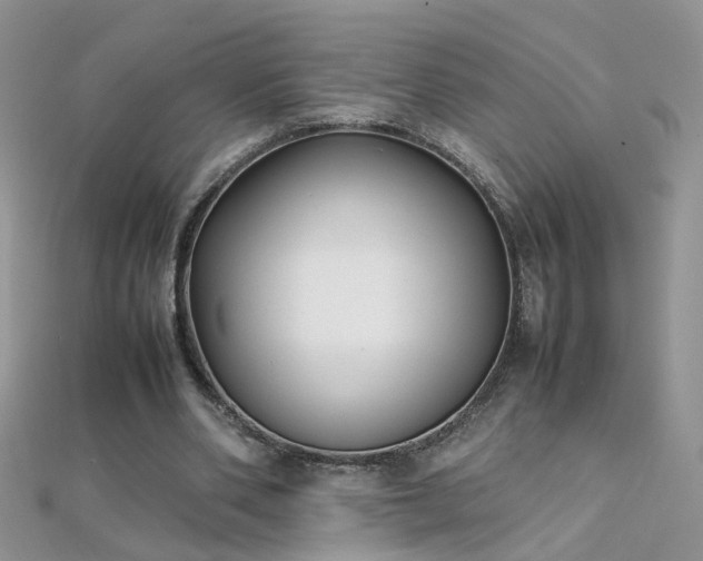 X0000112040486200908101405