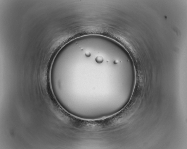 X0000112040487200908101405