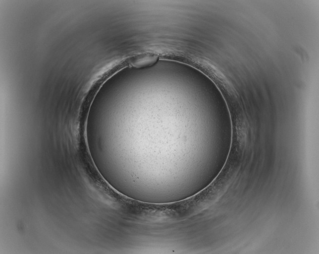 X0000112040488200908101405