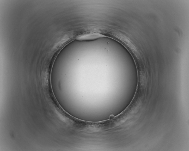 X0000112040489200908101404