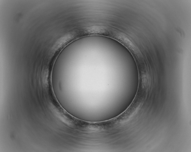 X0000112040490200908101404