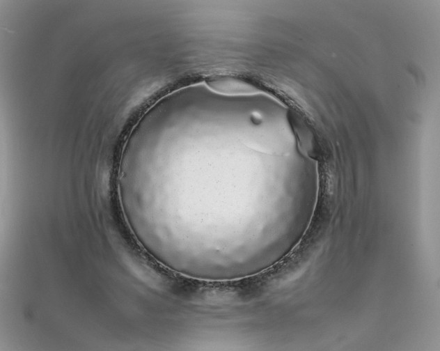 X0000112040491200908101404