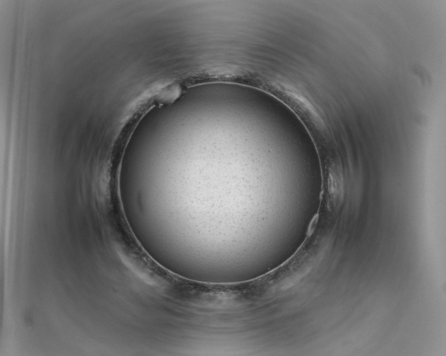 X0000112040492200908101404